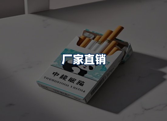 专业团队办公环境